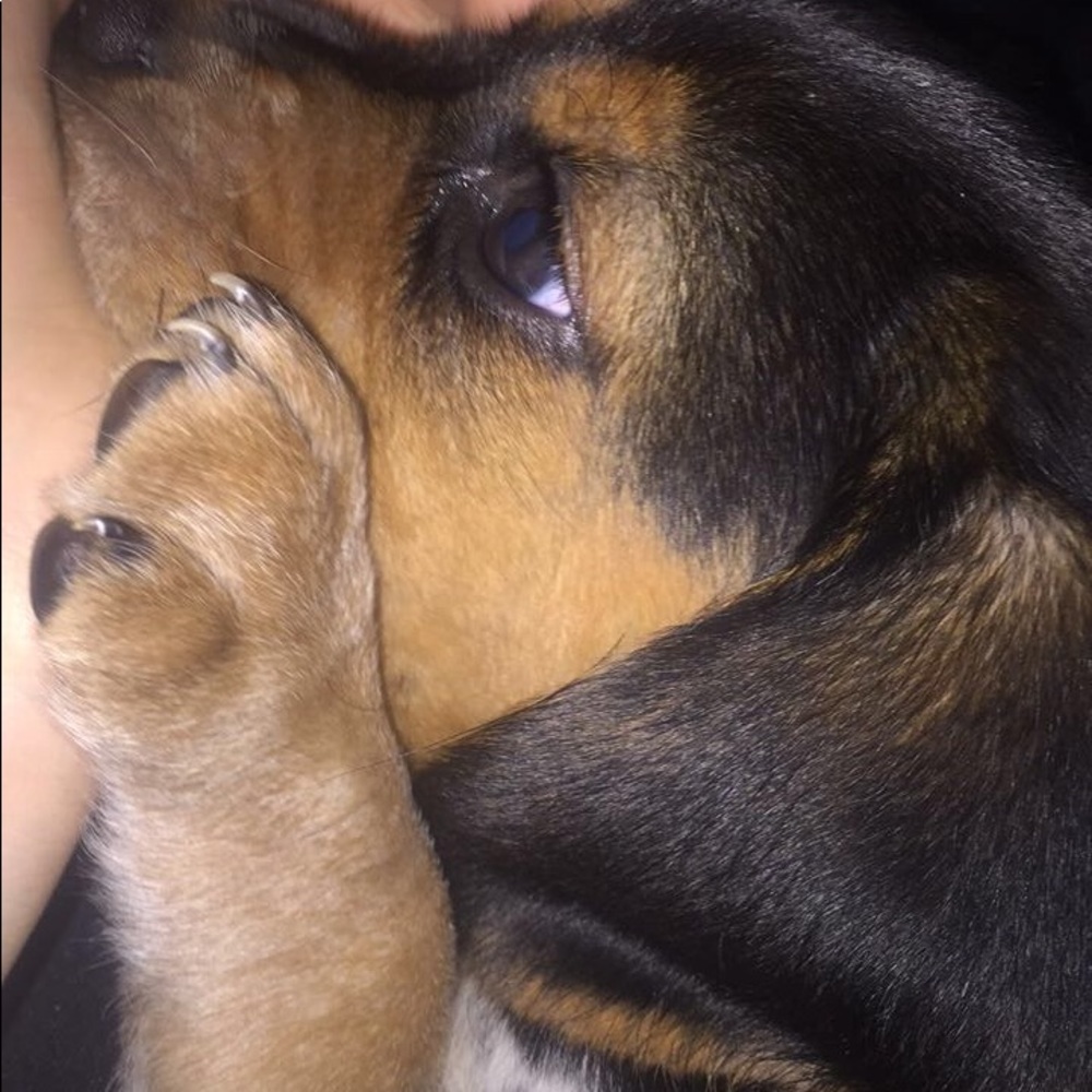 Meet your Posher, Leighann